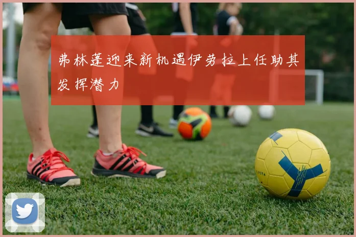弗林蓬迎来新机遇伊劳拉上任助其发挥潜力